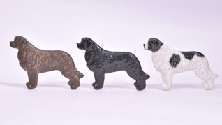 Newfoundlandinkoira rintaneula tai magneetti