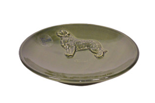 Newfoundlandinkoira teelautanen tai kauhanalunen