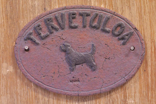 Petit basset griffon vendeen kyltti
