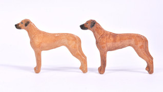 Rhodesiankoira rintaneula tai magneetti 