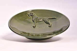 Saksanseisoja karkeakarvainen teelautanen tai kauhanalunen