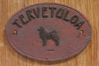 Samojedinkoira kyltti