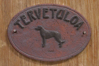 Skotlanninhirvikoira  kyltti