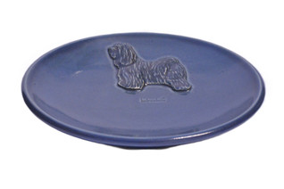 Tiibetinterrieri teelautanen tai kauhanalunen