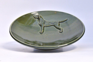 Unkarinvizla lyhytkarvainen teelautanen tai kauhanalunen