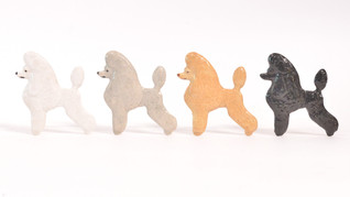 Villakoira näyttelyleikkaus rintaneula tai magneetti