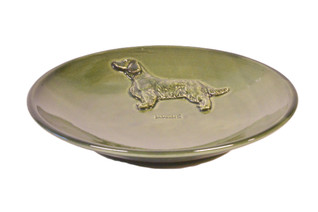 Walesinspringerspanieli teelautanen tai kauhanalunen