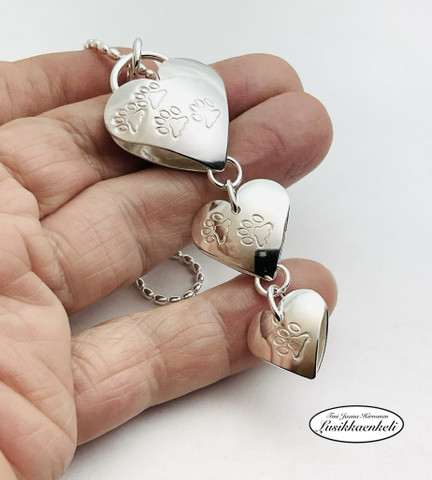 Sydänriipus Tassunjäljet