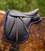 Islanninhevoshuopa: sininen