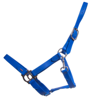 SuperStrap-riimu (issikoille)