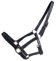 SuperStrap-riimu (issikoille)