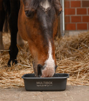 MultiBox, 3l