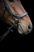 HorseGuard Vinja anatomiset suitset: musta