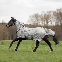 Hyönteisloimi SUPERB: antrasiitti