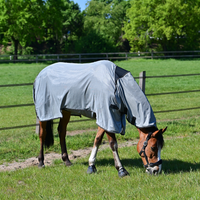 Hyönteisloimi SUPERB: antrasiitti