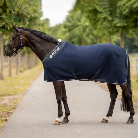 Cooler 3D AIR PREMIUM: sininen