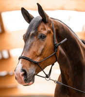 Naruriimu liikkuvalla renkaalla