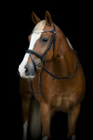 Horse Guard Emi 25.2 Suitset: musta