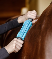 Health + Care Fascia Fit-rulla