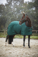 FirTech-loimi: Ponderosa Pine