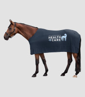Healt + Viilennysloimi