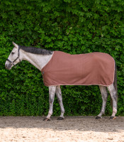 Economic Fleeceloimi: Mocca