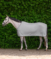 Economic Fleeceloimi: Silver Grey