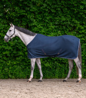 Economic Fleeceloimi ristivöillä: sininen