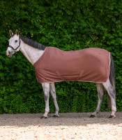 Economic Fleeceloimi ristivöillä:  Mocca