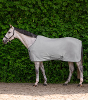 Economic Fleeceloimi ristivöillä:  Silver Grey