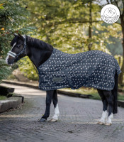 Kuvioitu verkkoloimi