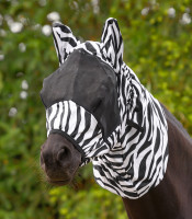 Zebra Ekseema-huppu
