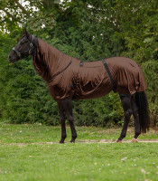 Basic Ihottumaloimi: Mocca