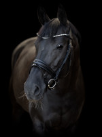 Catago Tori-suitset: musta