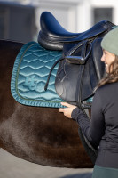 Valla Kouluhuopa: Ponderosa Pine