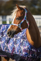 Värikäs Nylonriimu