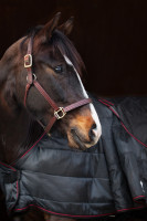 Dual Pro 2-in-1 Ulkoloimi, 100g / 200g