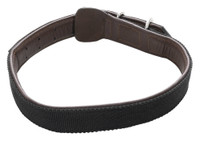  Kaulapanta hevoselle tai ponille