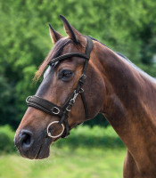 Anatominen kapsoni: musta