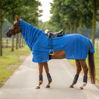 Ratsastusloimi: Moskito III: Royal Blue