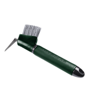 Kaviokoukku: vihreä