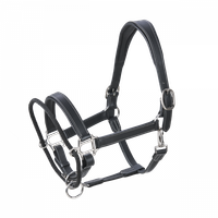 Nahkariimu varmistus köydellä