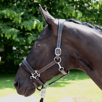 Nahkariimu varmistus köydellä