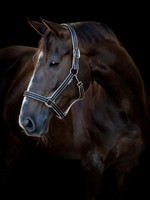 Taro Nylonriimu: musta