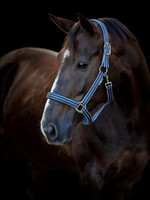 Taro Nylonriimu: sininen