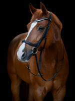 Shetlanninponin anatomiset suitset
