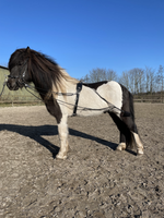 Juoksutus-systeemi (issikat)