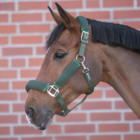 Riimu 3D AIR EFFECT PR: Emerald