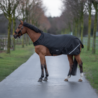 Kävelytysloimi HL 50g