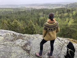 Tarvikepaketti Maailman synty -villapaitaan